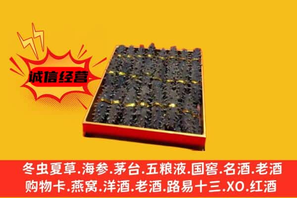 日喀则白朗回收海参